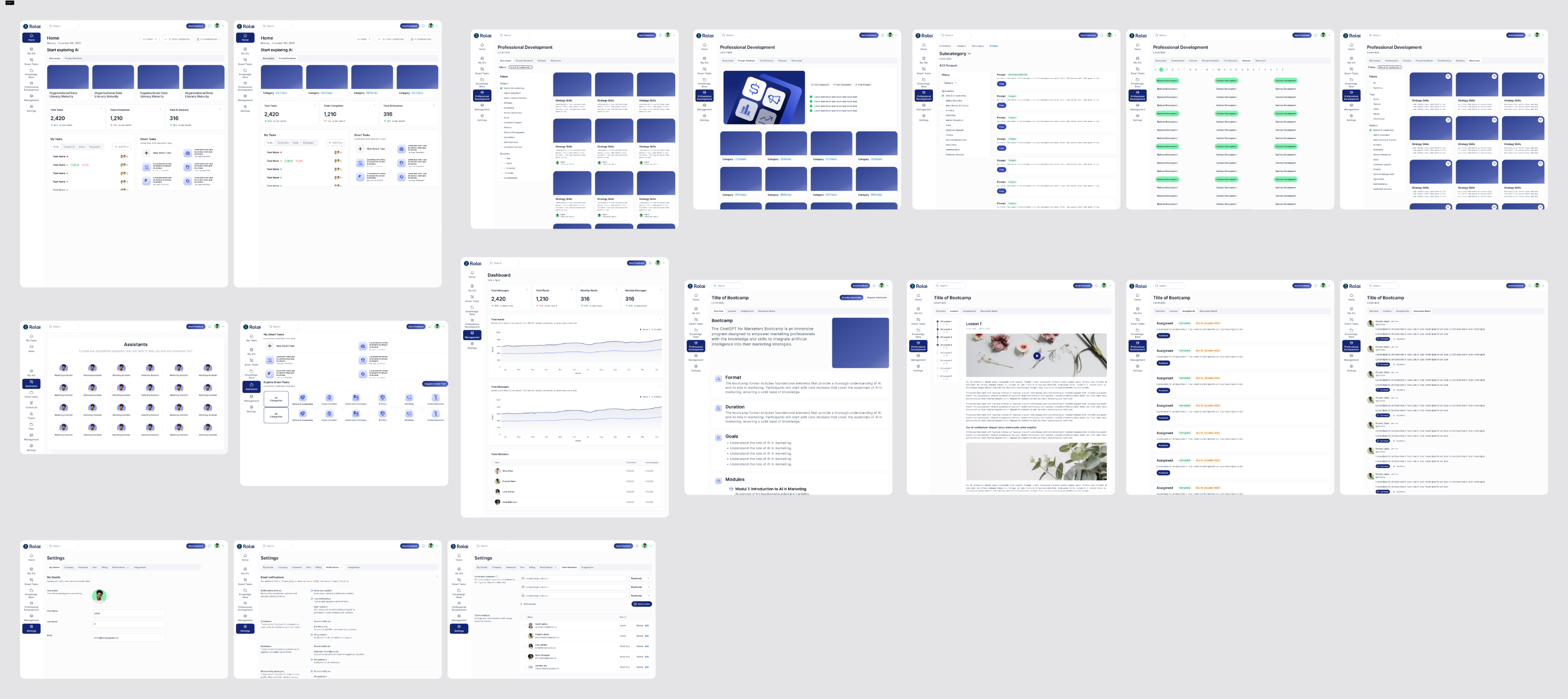 Early Rolai wireframe explorations across home, dashboard and settings screens